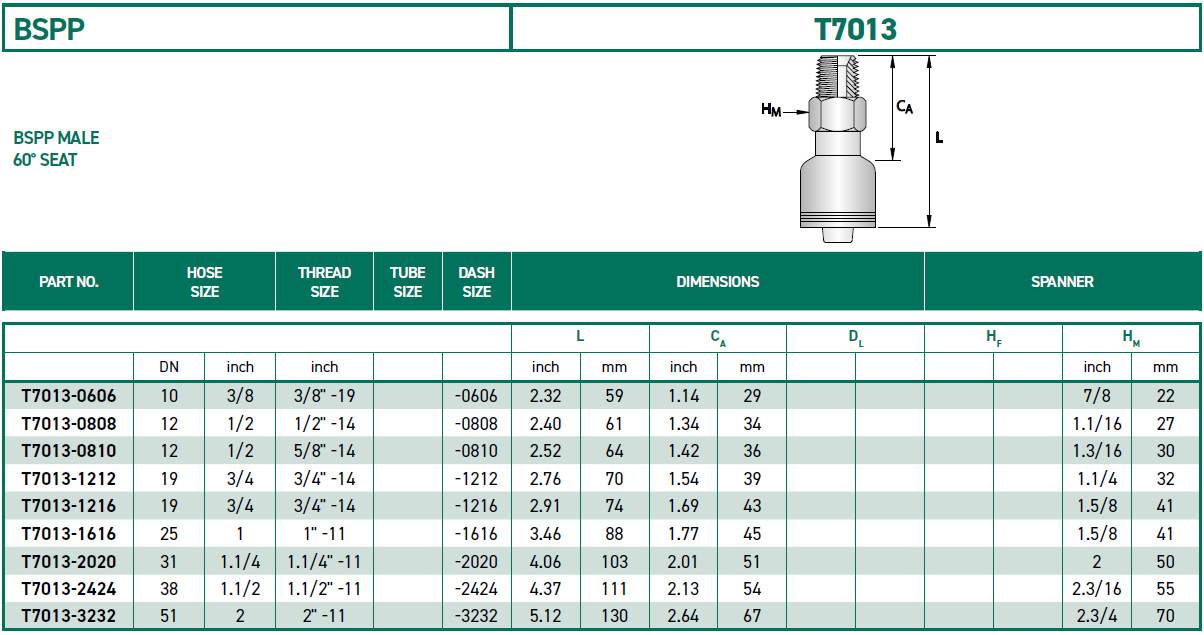RH-Fittings-T7000-BSPP-T7013