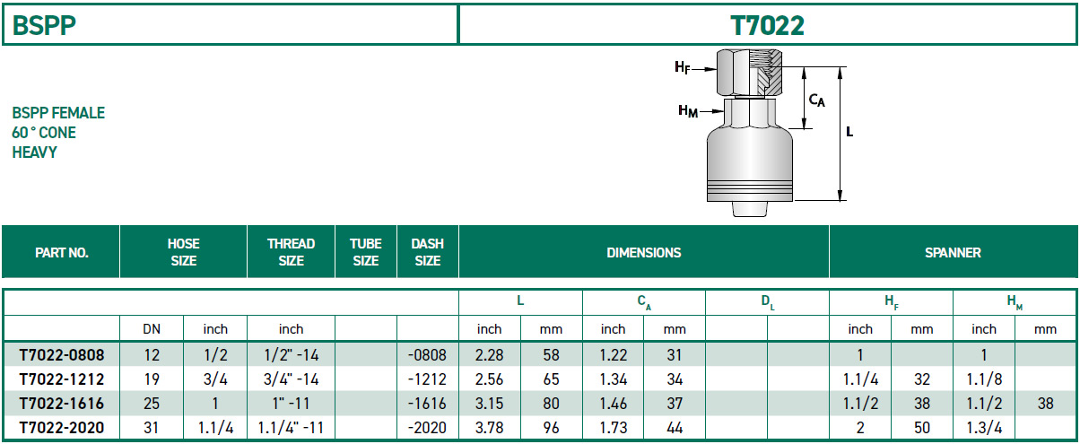 RH-Fittings-T7000-BSPP-T7022